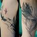 Tattoos - Black and Gray Feather with Birds - 59666